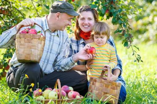 The 9 Best Apple Orchards in Arizona!