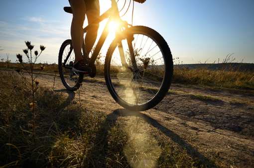 6 Best Bike Shops in Arizona!