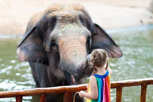 The 10 Best Educational Activities for Children in Arizona!