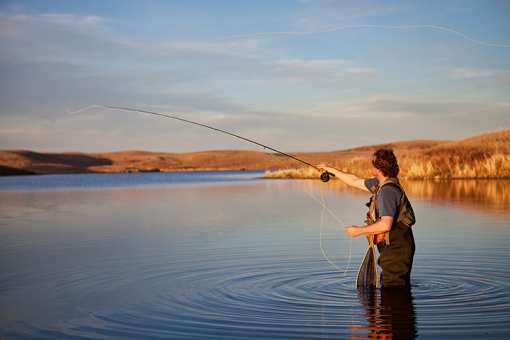 The 5 Best Fly Fishing Spots in Arizona!