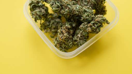 6 Best Marijuana Dispensaries in Arizona!