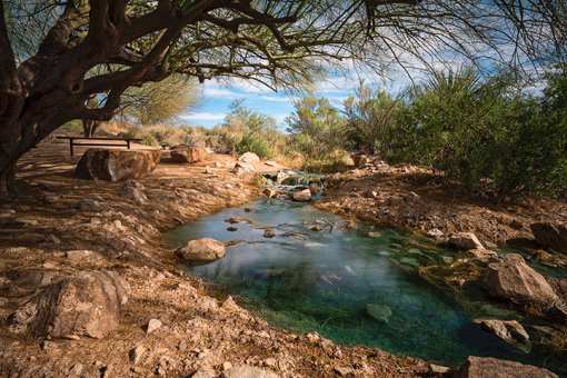 9 Best Nature Centers in Arizona!