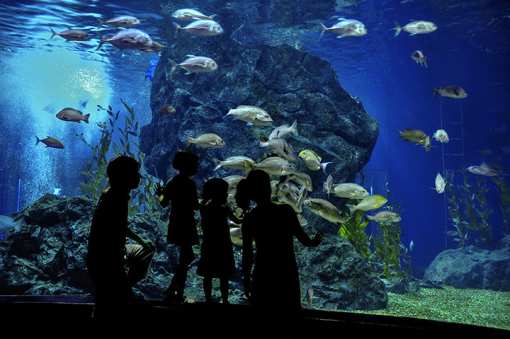 The 14 Best Rainy Day Activities to Do in Arizona!