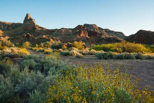 The 10 Best State Parks in Arizona!